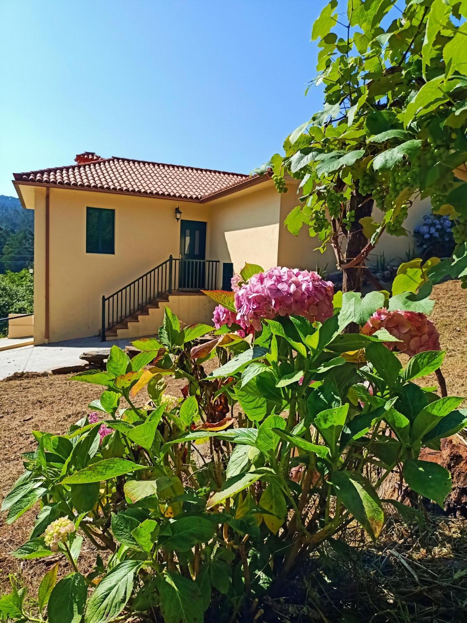 A Casa Do Porto Cerca De Cedeira Y De La Playa De Pantin Valdoviño Exterior foto